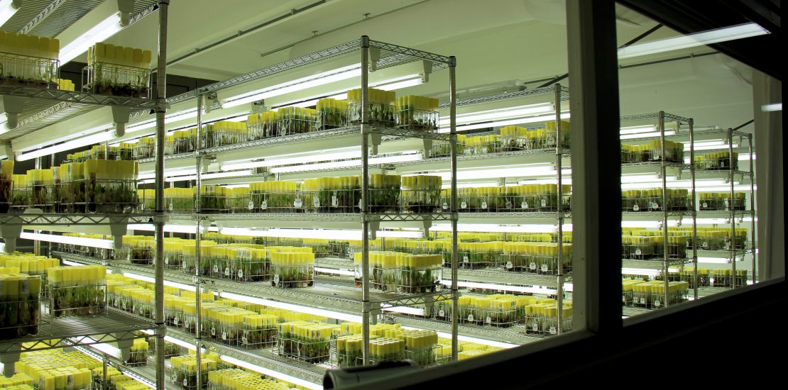 cella frigorifera sicurezza